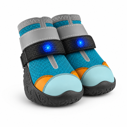Chaussures LED pour animaux