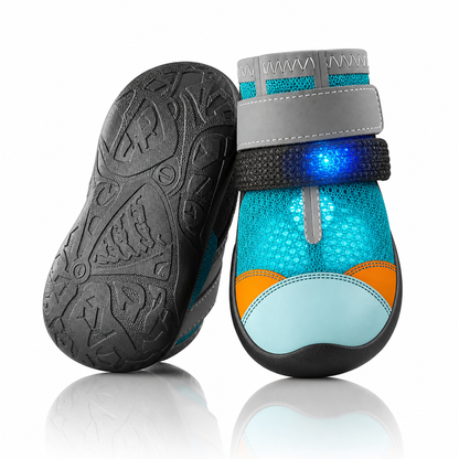 Chaussures LED pour animaux