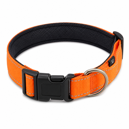 Collier LED Sécurité Animaux